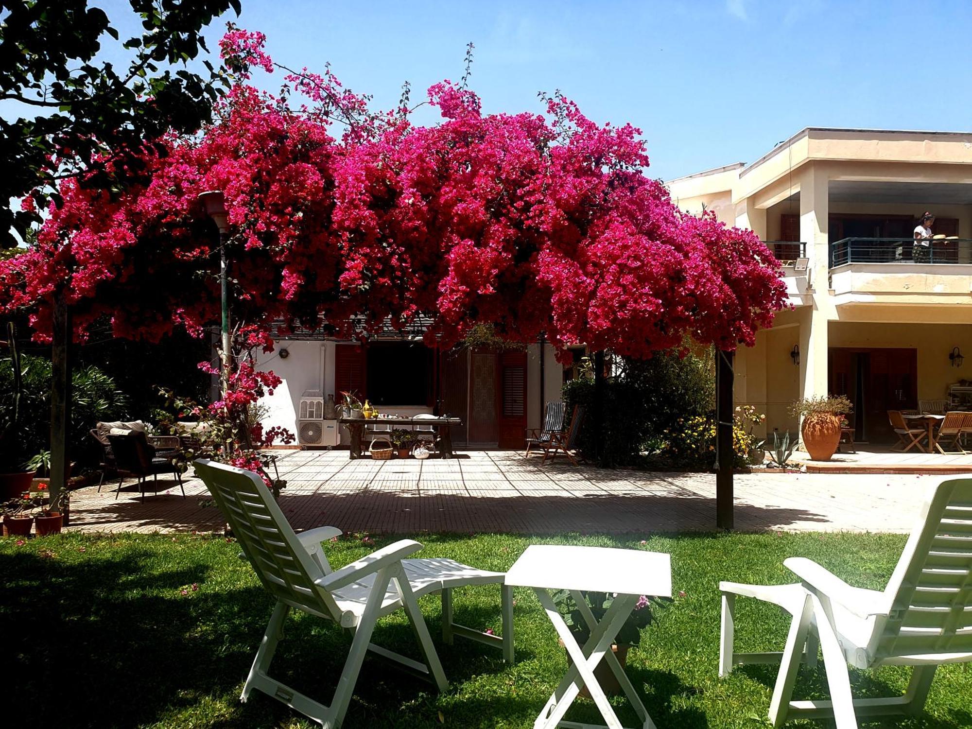 La Depandance Di Villa Rosa Locazioni Brevi Mondello Luaran gambar